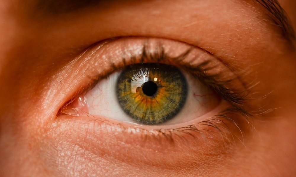 Oczy to jednostkowy organ. To właśnie dzięki nim rozróżniamy.